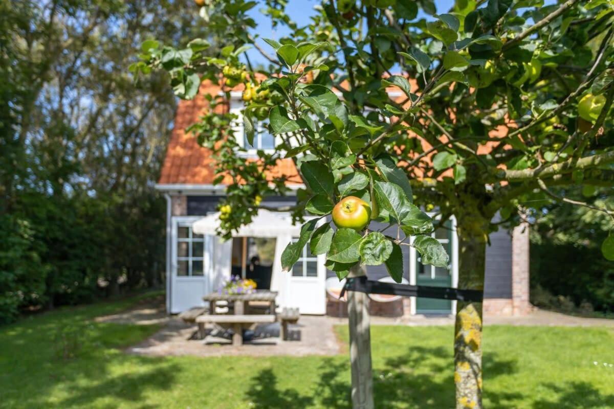 Het Kleine Huis At Buitenplaats Zeeuwse Liefde Westkapelle Eksteriør bilde